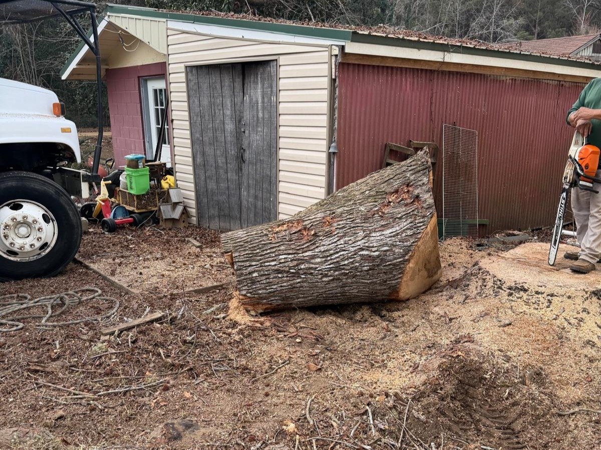 El Costeño Tree Service LLC